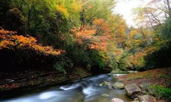 《逆水寒》共战新纪元活动玩法介绍